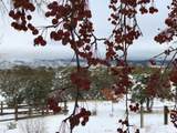 32 Two Horse Trail - Photo 55