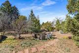 626 Calle De Valdez - Photo 39