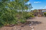 49/65 Blue Agave/Grenfell Ranch - Photo 34