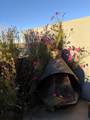 25 Camino Largo - Photo 84