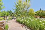 503 Camino Del Monte Sol - Photo 52