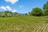 425 County Road 155 - Photo 35