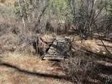 1 Mcferrin Taylor Road - Photo 42