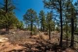 30 Monte La Cueva Road - Photo 5