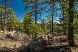 30 Monte La Cueva Road - Photo 57
