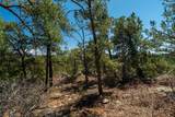 30 Monte La Cueva Road - Photo 63