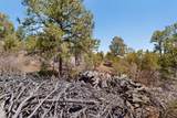 30 Monte La Cueva Road - Photo 68