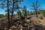 30 Monte La Cueva Road - Photo 71