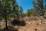 30 Monte La Cueva Road - Photo 73