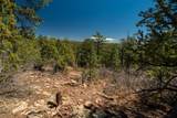 30 Monte La Cueva Road - Photo 74