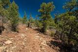 30 Monte La Cueva Road - Photo 75
