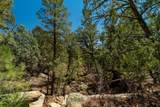30 Monte La Cueva Road - Photo 80