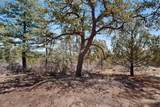30 Monte La Cueva Road - Photo 87