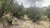 0 Land in Cerrillos T 15N R 8E S31., E 1/2-, Nw 1/4 - Photo 12