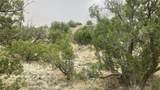 0 Land in Cerrillos T 15N R 8E S31., E 1/2-, Nw 1/4 - Photo 13