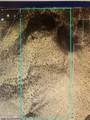 0 Land in Cerrillos T 15N R 8E S31., E 1/2-, Nw 1/4 - Photo 5