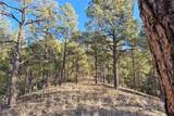 98 La Barbaria Trail - Photo 65