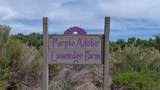 PURPLE ADOBE LAVENDE Farm 25 Private Drive  1622 - Photo 44