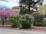 728 Don Gaspar Avenue - Photo 3