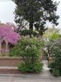 728 Don Gaspar Avenue - Photo 4