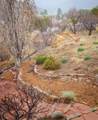 1692 Upper Canyon - Photo 30