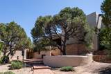 33 Spirit Court - Photo 11