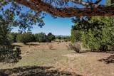 76 Amberwood Loop - Photo 48