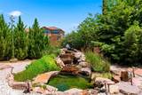 4703 Hojas Verdes - Photo 15