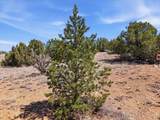 23 Black Canyon Road - Photo 6