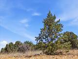23 Black Canyon Road - Photo 7