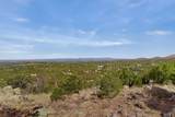 51 Coyote Mountain Road - Photo 15