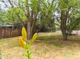 416 La Lomita Lane - Photo 75