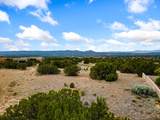 103 Paseo Aragon - Photo 14