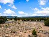 103 Paseo Aragon - Photo 15