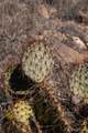 7 Rancho De Shama - Photo 12