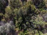7 Rancho De Shama - Photo 13