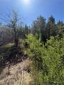 7 Rancho De Shama - Photo 19