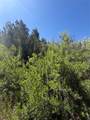 7 Rancho De Shama - Photo 20