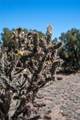 7 Rancho De Shama - Photo 8