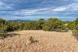 30 Silver Saddle - Photo 7