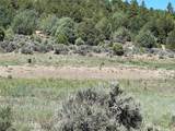TBD Highway 84/64 - Photo 13