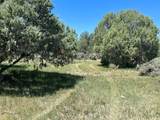TBD Highway 84/64 - Photo 29