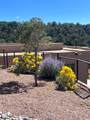 2704 Buffalo Lane - Photo 24