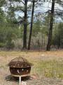 129 Buckman Road - Photo 6