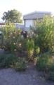 915 Morgan Street - Photo 14