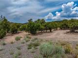 2505 Camino Sarita - Photo 13