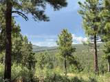 21 Los Nidos Lane - Photo 4