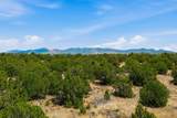 48 Sundance Drive - Photo 47