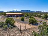 49 Blue Agave - Photo 3