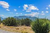 49 Blue Agave - Photo 5